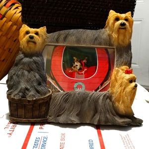🐧🌉PORTRAIT YORKSHIRE TERRIER DISPLAY
